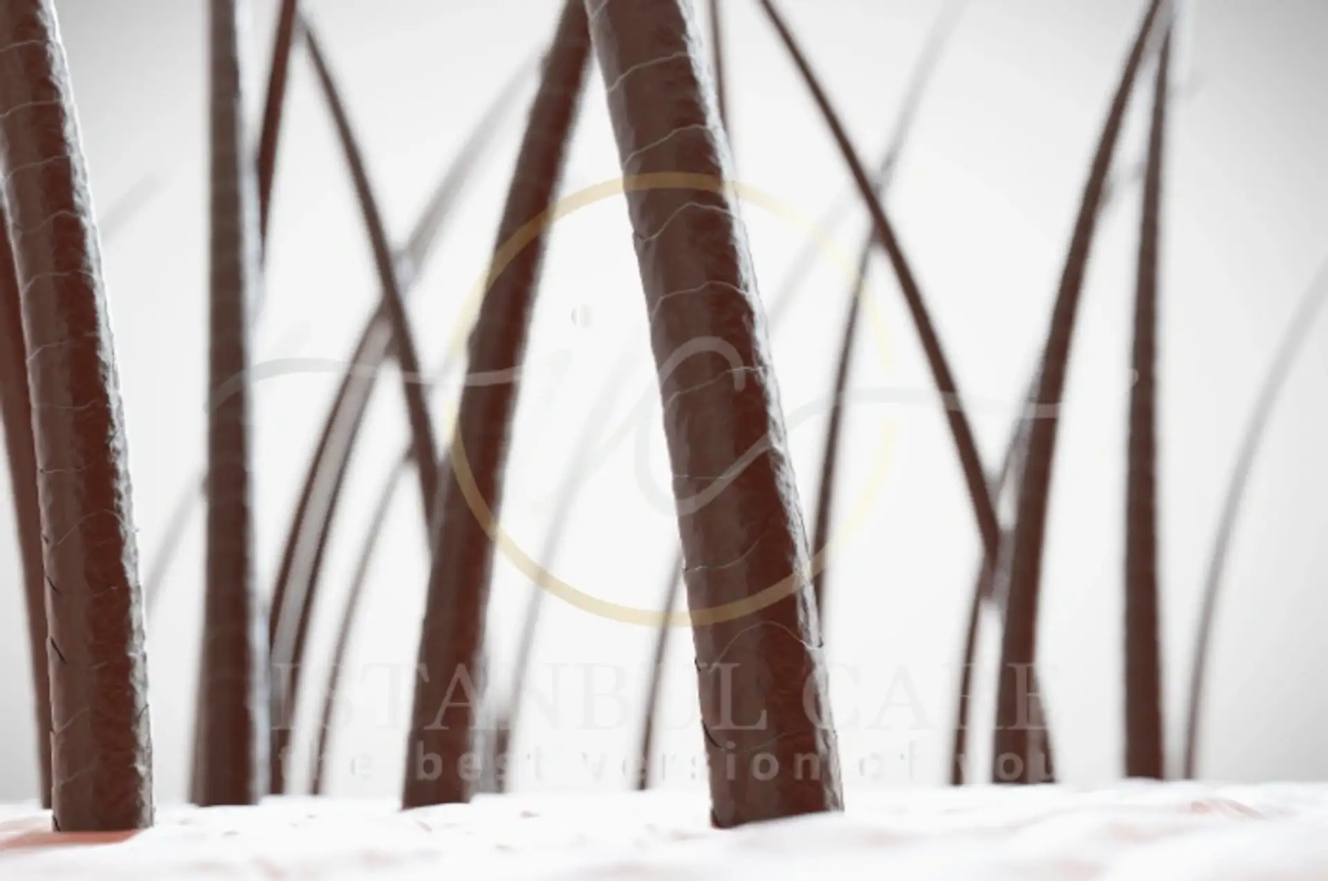 Understanding the Hair Shaft: Cuticle, Cortex, Medulla