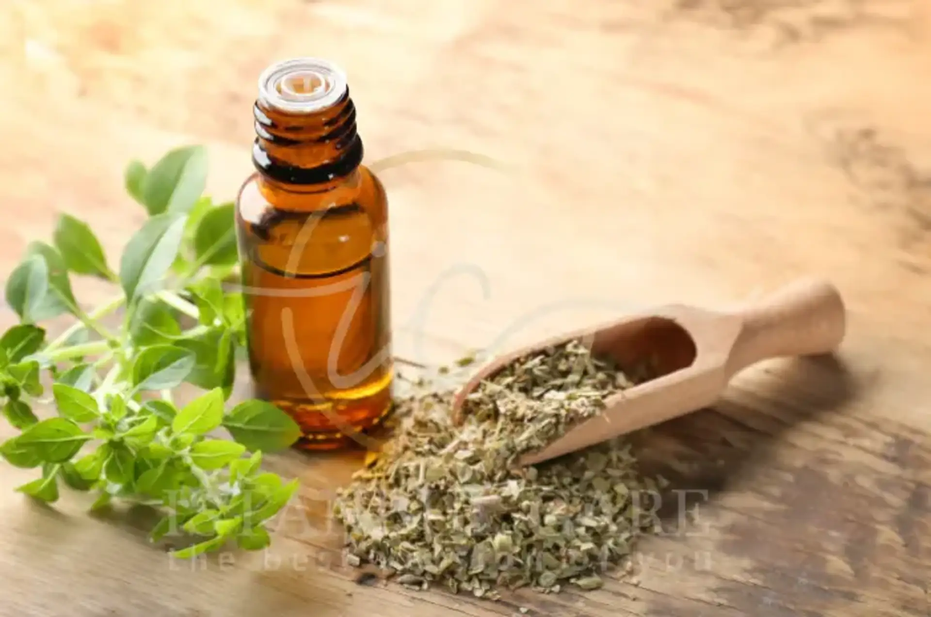 Oregano Oil for Hair Growth: Benefits and Tips